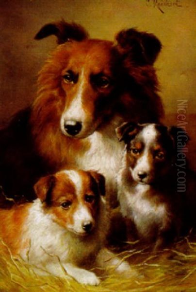 Colliefamilie Oil Painting by Carl Reichert