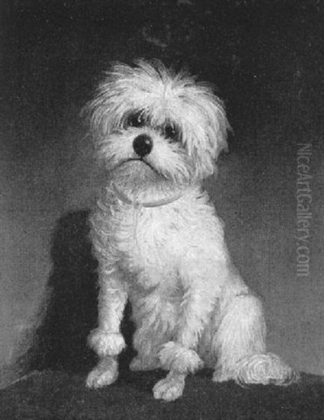 Hundchen Mit Rotem Halsband Oil Painting by Carl Reichert