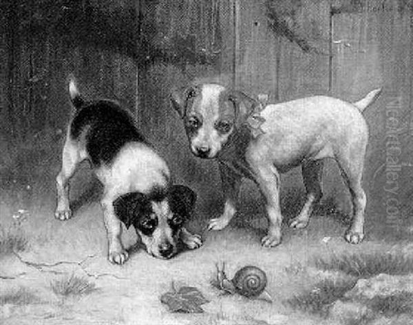 Spielende Hunde Oil Painting by Carl Reichert