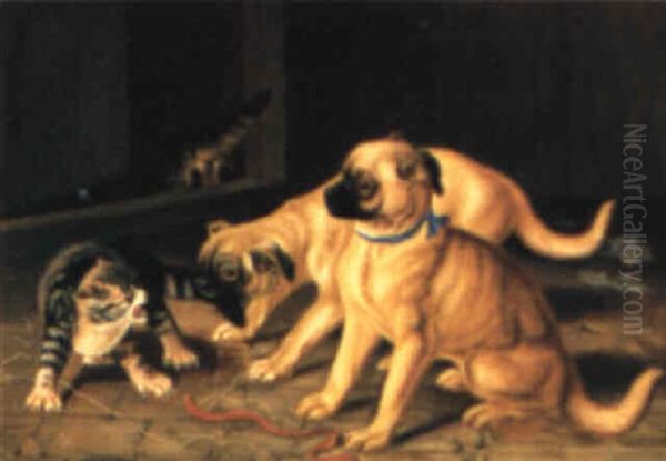 Zwei Junge Hunde, Mit Einer Katze Zankend Oil Painting by Carl Reichert