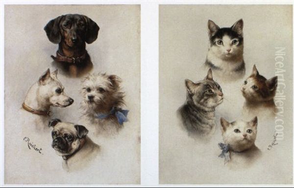 Studies Of Dogs Oil Painting by Carl Reichert