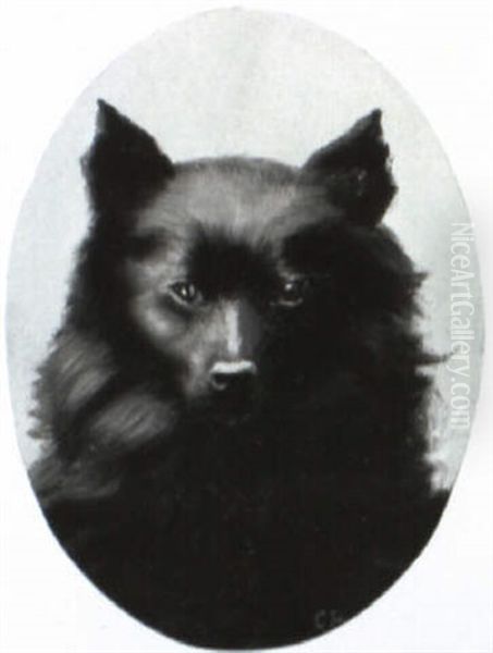 Hundeportrait Mit Schwarzem Spitz Oil Painting by Carl Reichert