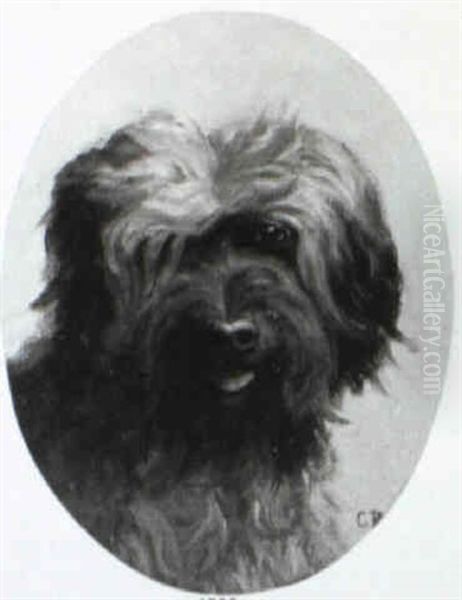 Hundeportrait Mit Bergamasker Hirtenhund Oil Painting by Carl Reichert