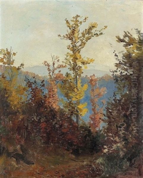 Waldweg Im Herbst Bei Sonnigem Wetter Oil Painting by Jean-Joseph Reichlen