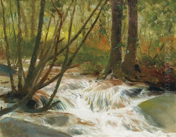 Forest Rapids Oil Painting by George Agnew Reid