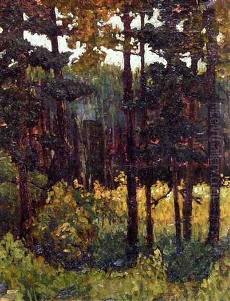 Afterglow, Wychwood by Mary Augusta Hiester Reid