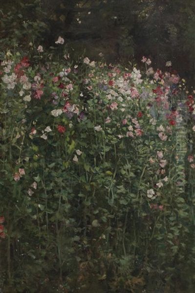 Sweet Peas Oil Painting by Robert Payton Reid