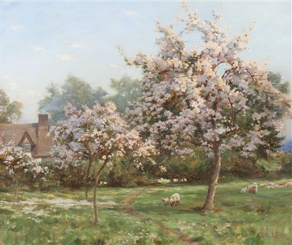 Sheep In An Orchard Oil Painting by Robert Payton Reid