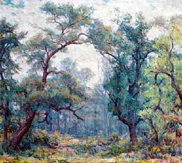 Old Willows Oil Painting by Robert Reid