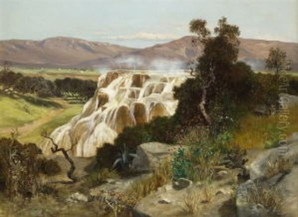 Die Kalksinterterrassen Von Pamukkale (turkei) Oil Painting by Paul Reiffenstein