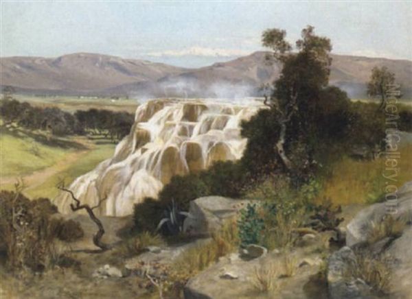 Die Heisen Quellen Von Pamukkale, Turkei Oil Painting by Paul Reiffenstein