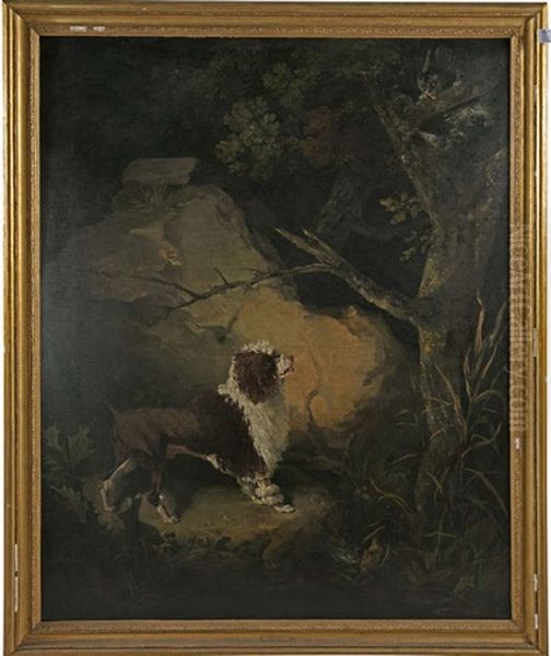 A Hunting Dog Holding A Cat At Bay In A Woodland Oil Painting by Philipp Reinagle