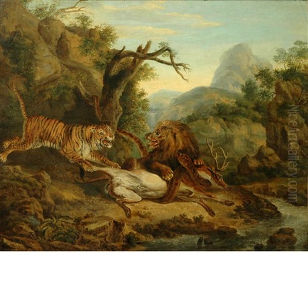 A Lion And A Tiger Fighting Over A Stag Oil Painting by Philipp Reinagle