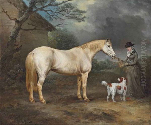 Mrs. Thomas Hawkins Of Trewithen, Cornwall With Her Connemara Pony And A Spaniel Oil Painting by Philipp Reinagle