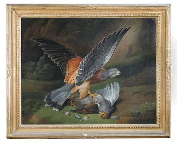 Sparrow Hawk Taking A Partidge Oil Painting by Philipp Reinagle