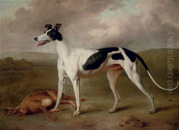 A Prize Greyhound In An Extensive Landscape Oil Painting by Philipp Reinagle