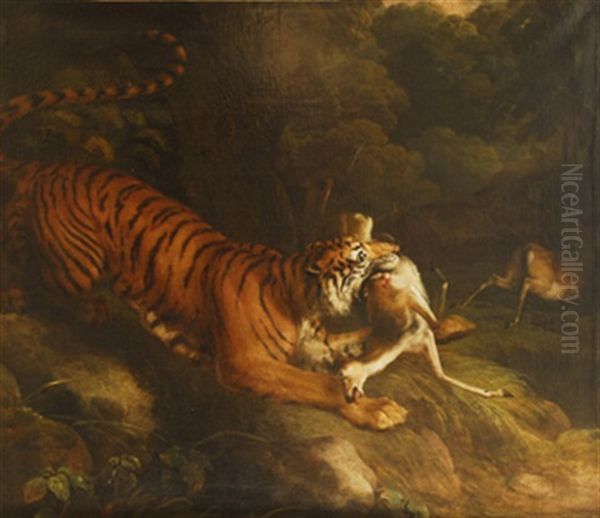 Tigre Cazando Un Gamo Oil Painting by Philipp Reinagle