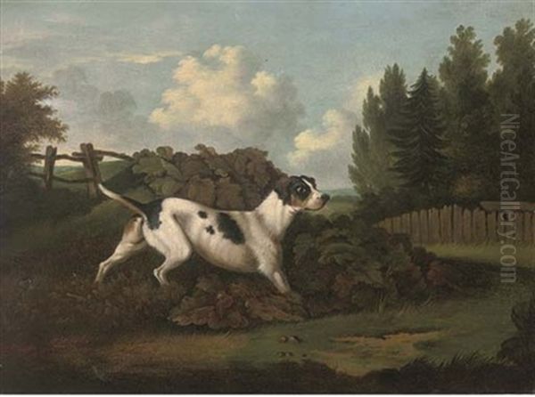 Portrait Of A Pointer Standing To Game Oil Painting by Philipp Reinagle