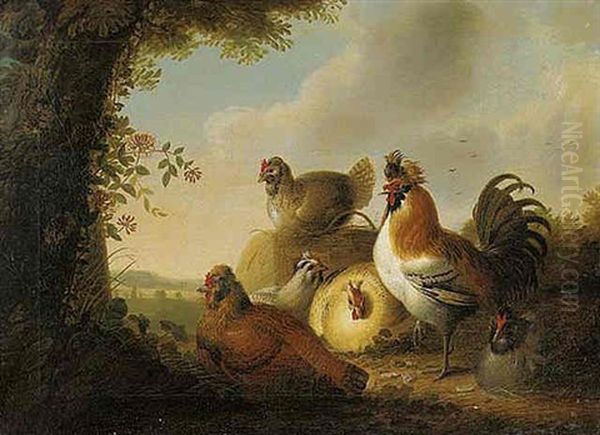 A Cockerel And Chickens In A Wooded Landscape Oil Painting by Philipp Reinagle