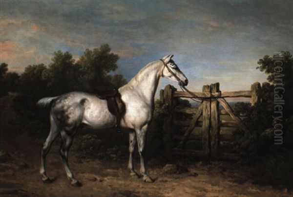 Sir Charles Mordant's Grey Hunter, 'piccolo' Tethered To A Gate Oil Painting by Philipp Reinagle