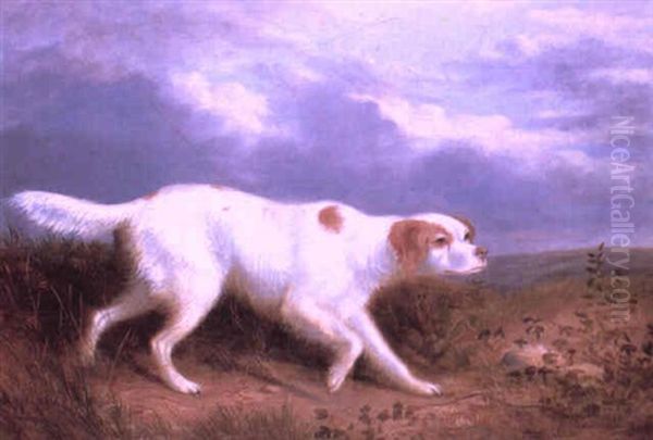 Setter On The Moor by Philipp Reinagle