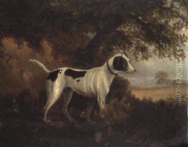 A Pointer In A Landscape Oil Painting by Philipp Reinagle