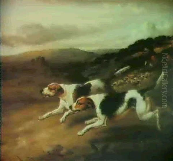 Foxhounds In Pursuit Oil Painting by Philipp Reinagle