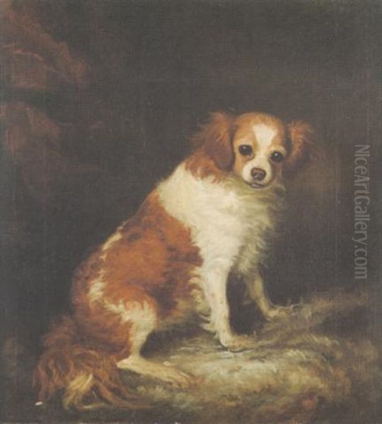 A Toy Spaniel Oil Painting by Ramsay Richard Reinagle