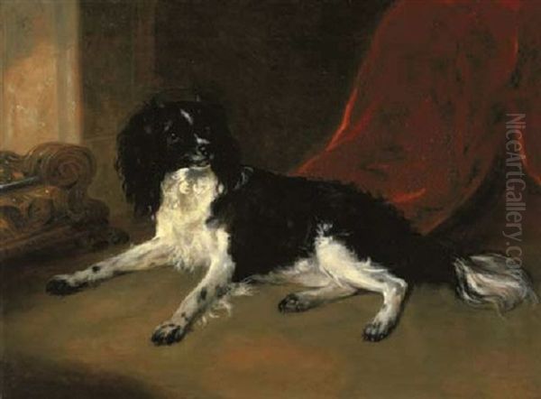 A King Charles Spaniel Oil Painting by Ramsay Richard Reinagle