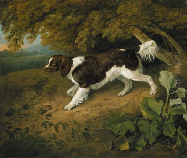 A Marlborough Spaniel, On A Path, In A Wooded Lanscape Oil Painting by Ramsay Richard Reinagle