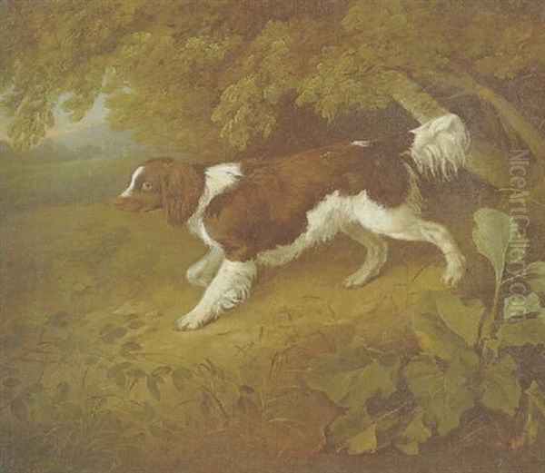 A Spaniel In A Wooded Landscape Oil Painting by Ramsay Richard Reinagle