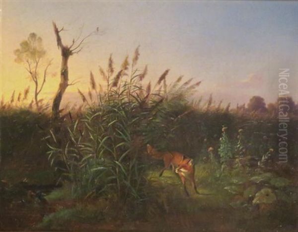 A Fox Eying Ducks In A Marsh Oil Painting by Wilhelm Reinhardt