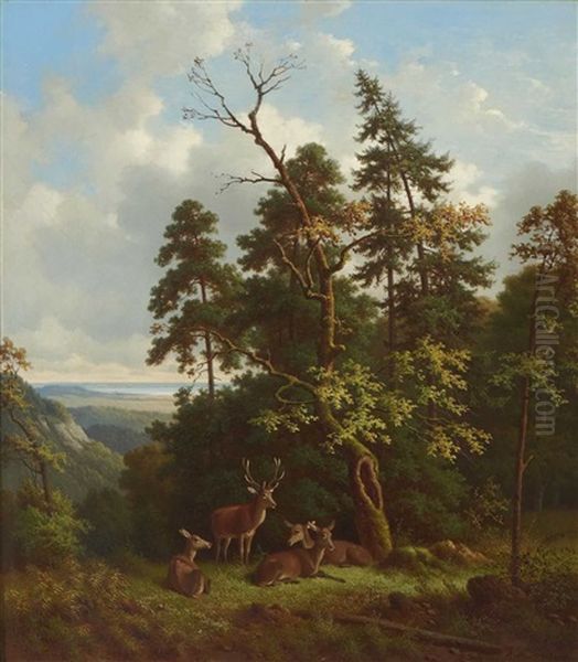 Rotwild Auf Einer Waldlichtung In Vorgebirgslandschaft Oil Painting by Wilhelm Reinhardt