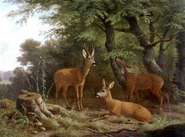 Roe Deer In Woodland Oil Painting by Wilhelm Reinhardt