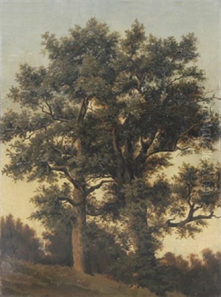 Zwei Grose Laubbaume An Einem Hang Oil Painting by Friedrich Philip Reinhold