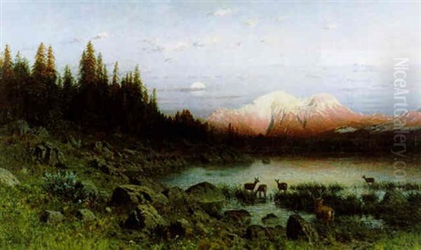 Rotwild Am Seeufer Oil Painting by Ernst Otto Reiniger