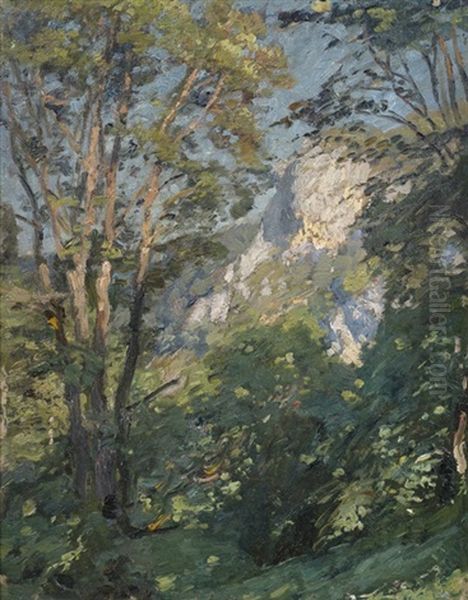 Albfelsen Oil Painting by Otto Reiniger