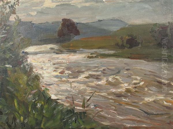 Flusslandschaft Oil Painting by Otto Reiniger