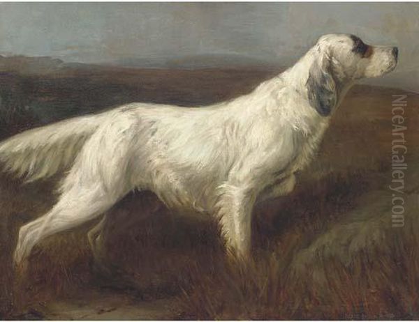 Patti Of Gerwn, An English Setter Oil Painting by Rose D. Bonnor