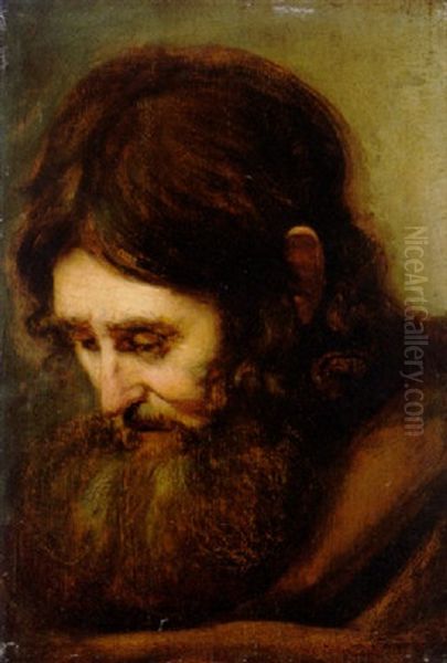 A Bearded Man Oil Painting by  Rembrandt van Rijn