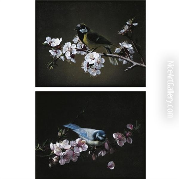 Blue Tit On A Branch Of Plum Tree In Bloom (+ Great Tit On A Branch Of Cherry Tree; Pair) Oil Painting by Pierre Etienne Remillieux