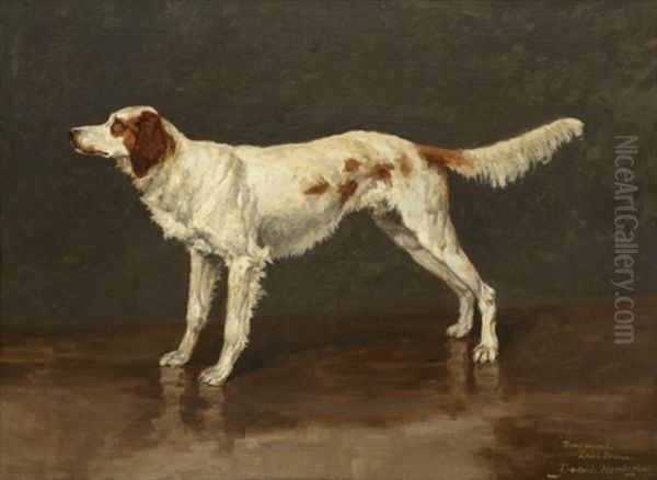 Portrait Of An English Setter Oil Painting by Frederic Remington