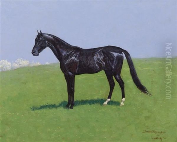 Study Of Bellini, A Trotter Oil Painting by Frederic Remington