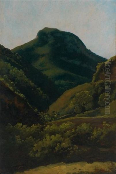 Paysage Aux Collines Oil Painting by Jean Charles Joseph Remond