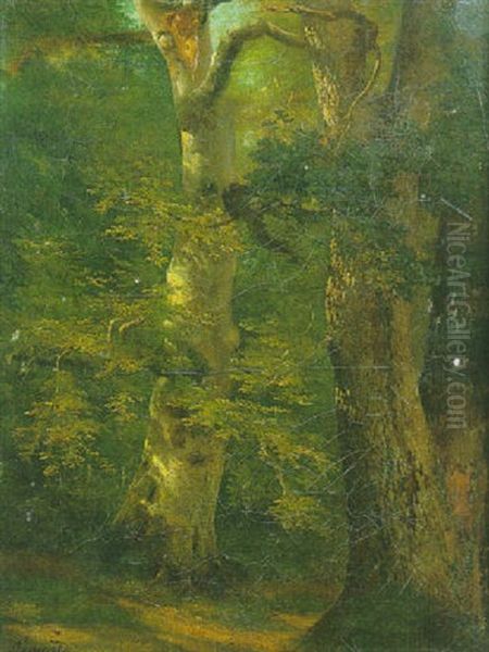 Arbre Dans La Foret De Compiegne Oil Painting by Jean Charles Joseph Remond