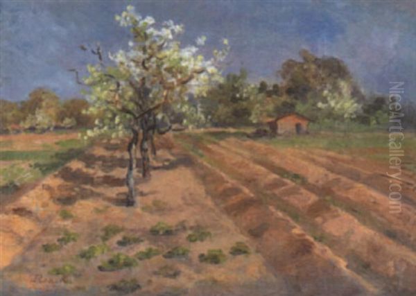 Bluhende Obstbaume Am Feldrand Oil Painting by Ernst Emil Renck