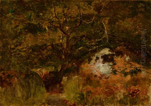 Arbres Et Rochers A Fontainebleau Oil Painting by Jean Emile Renie