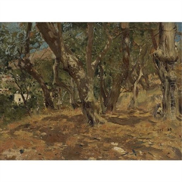 Landscape Study, Capri by Ilya Repin