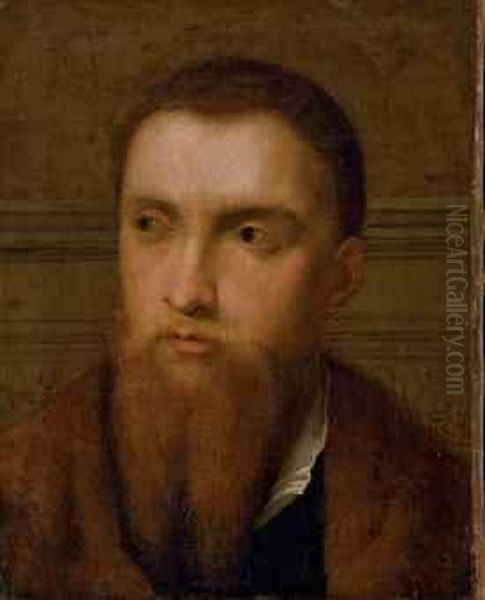 Portrait D'un Homme Barbu Oil Painting by Alessandro Bonvicino (Moretto da Brescia)