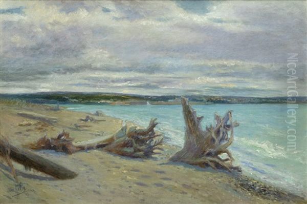 Driftwood Along A Beach Coastline Oil Painting by John Rettig